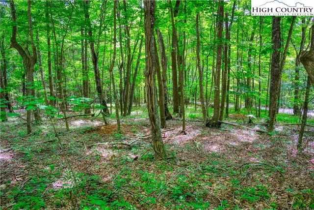 $32,000 | Lot 20 Quail Ridge Drive, Fleetwood, NC 28626