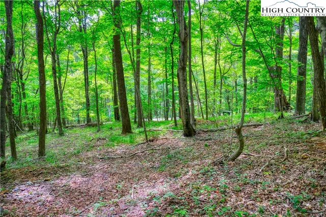 $32,000 | Lot 20 Quail Ridge Drive, Fleetwood, NC 28626