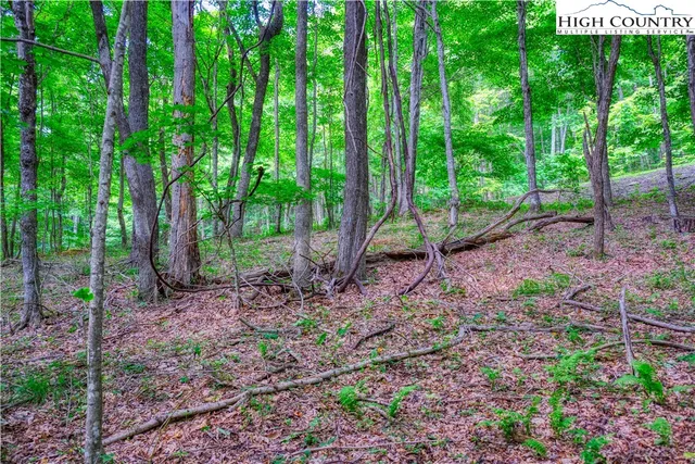 $32,000 | Lot 20 Quail Ridge Drive, Fleetwood, NC 28626
