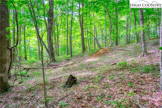 $32,000 | Lot 20 Quail Ridge Drive, Fleetwood, NC 28626