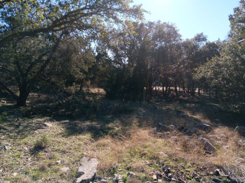 101 Timber Line Road Georgetown, TX 78633 - Photo 5 of 15 a view of outdoor space and yard