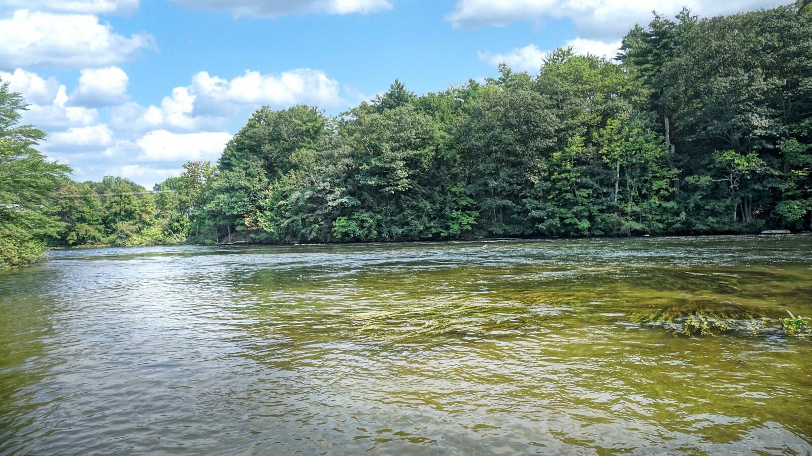 847 Gray Road Gorham, ME 04038 - Photo 7 of 86 847 Gray Rd (6)