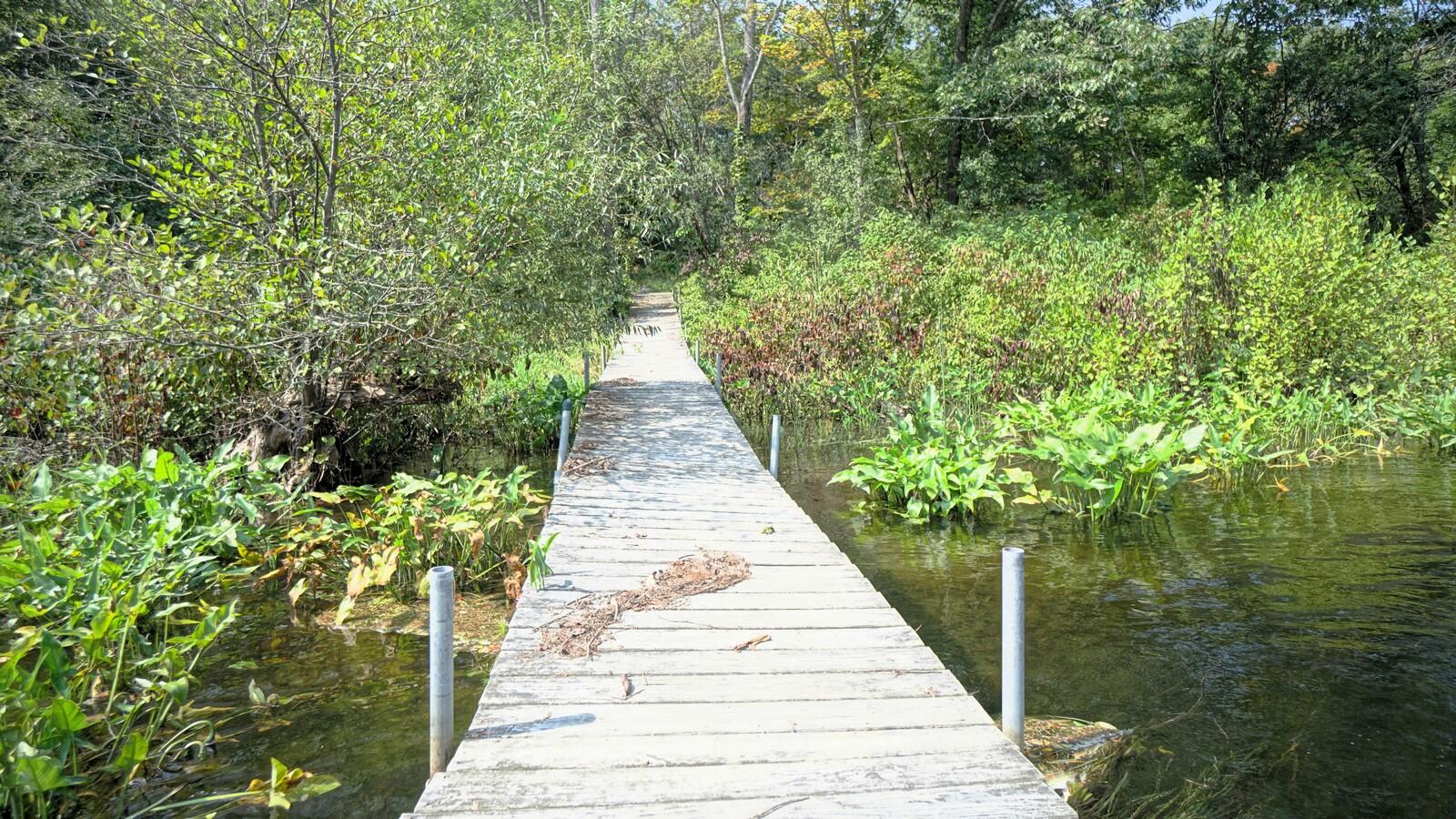 847 Gray Road Gorham, ME 04038 - Photo 8 of 86 847 Gray Rd (8)