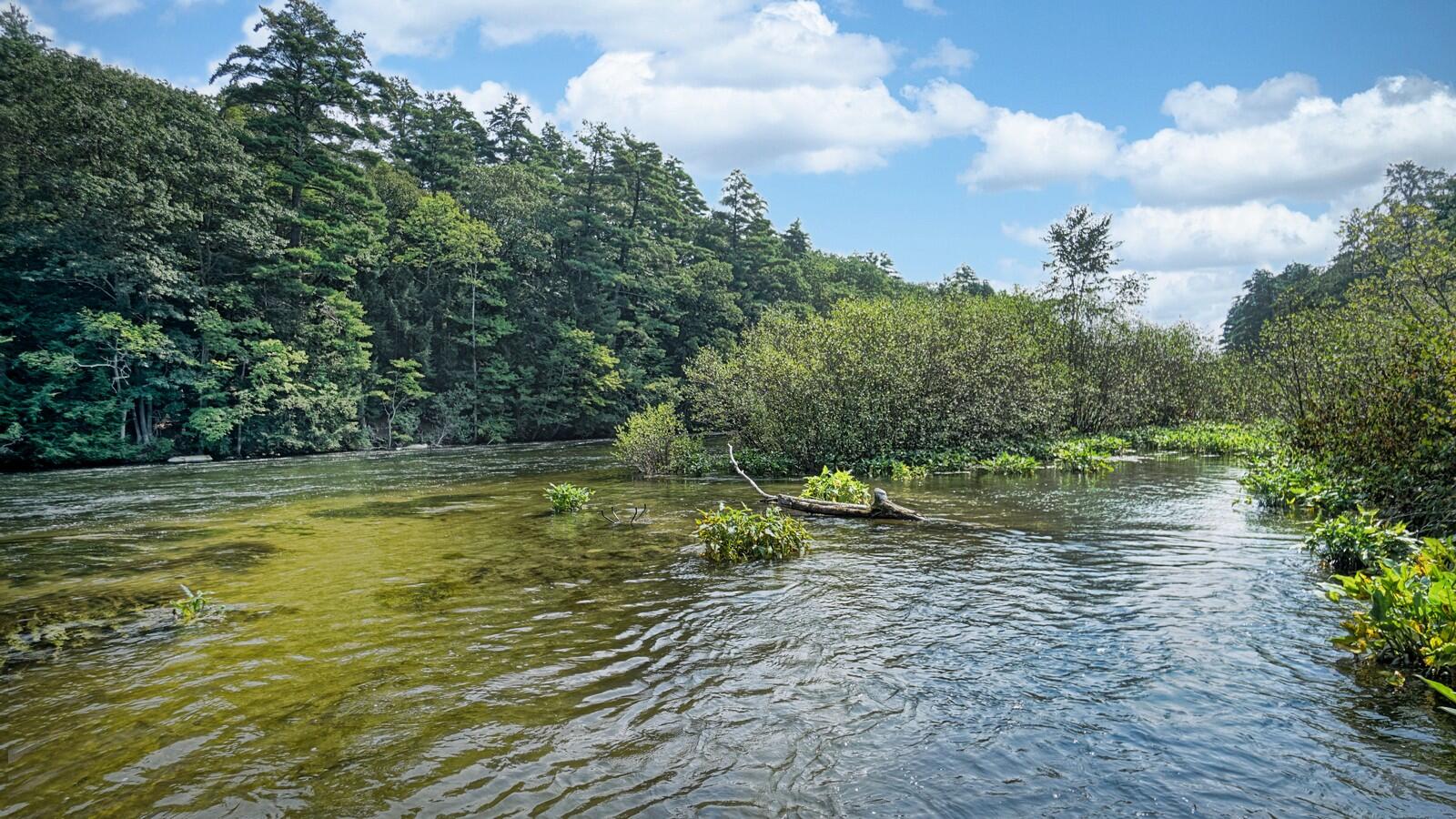 847 Gray Road Gorham, ME 04038 - Photo 9 of 86 847 Gray Rd (7)