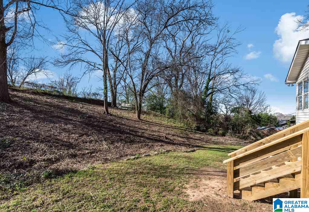 740 43rd Street South Birmingham, AL 35222 - Photo 32 of 33