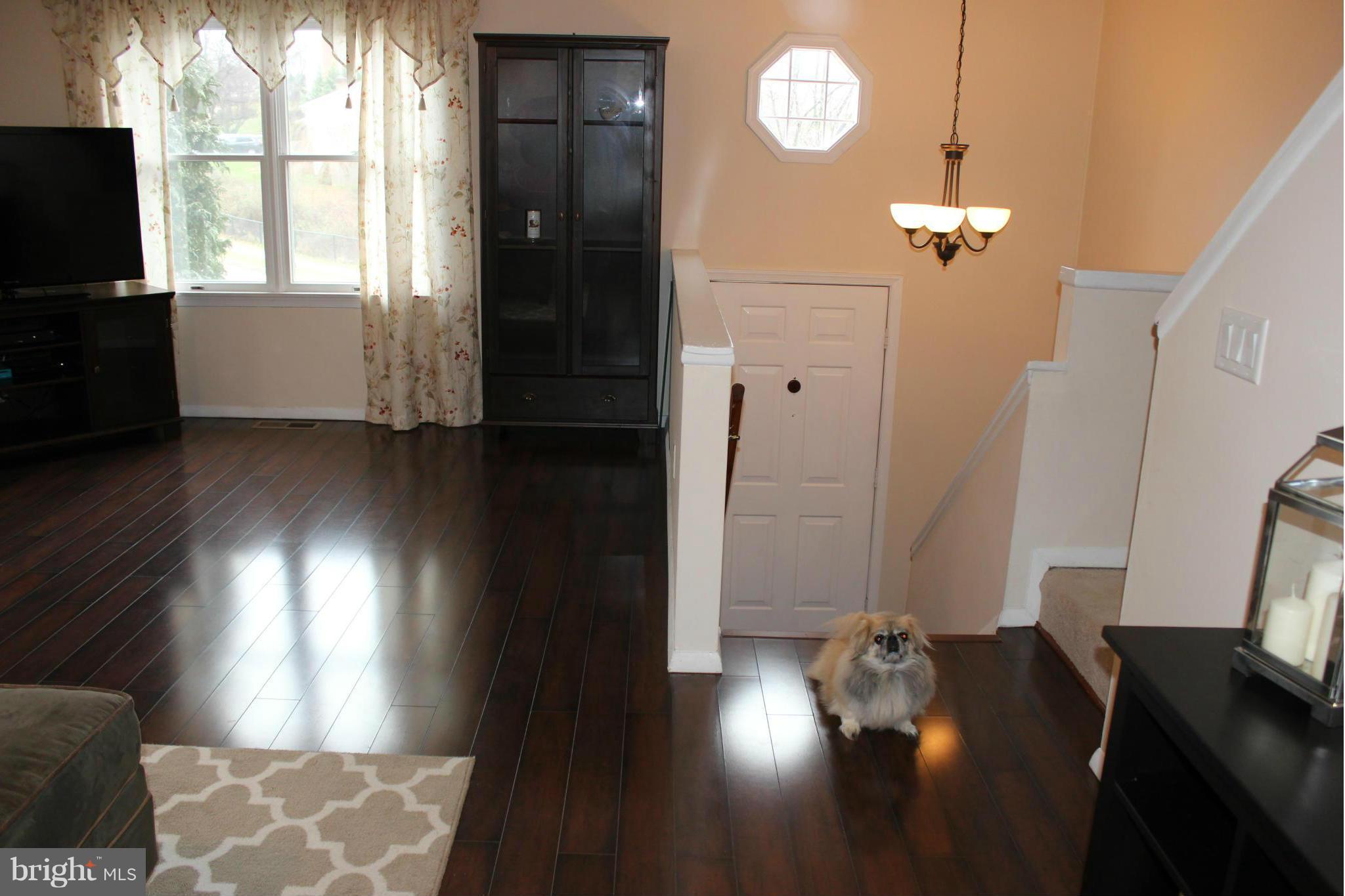 9019 Throgmorton Road Baltimore, MD 21234 - Photo 5 of 30 Living Room