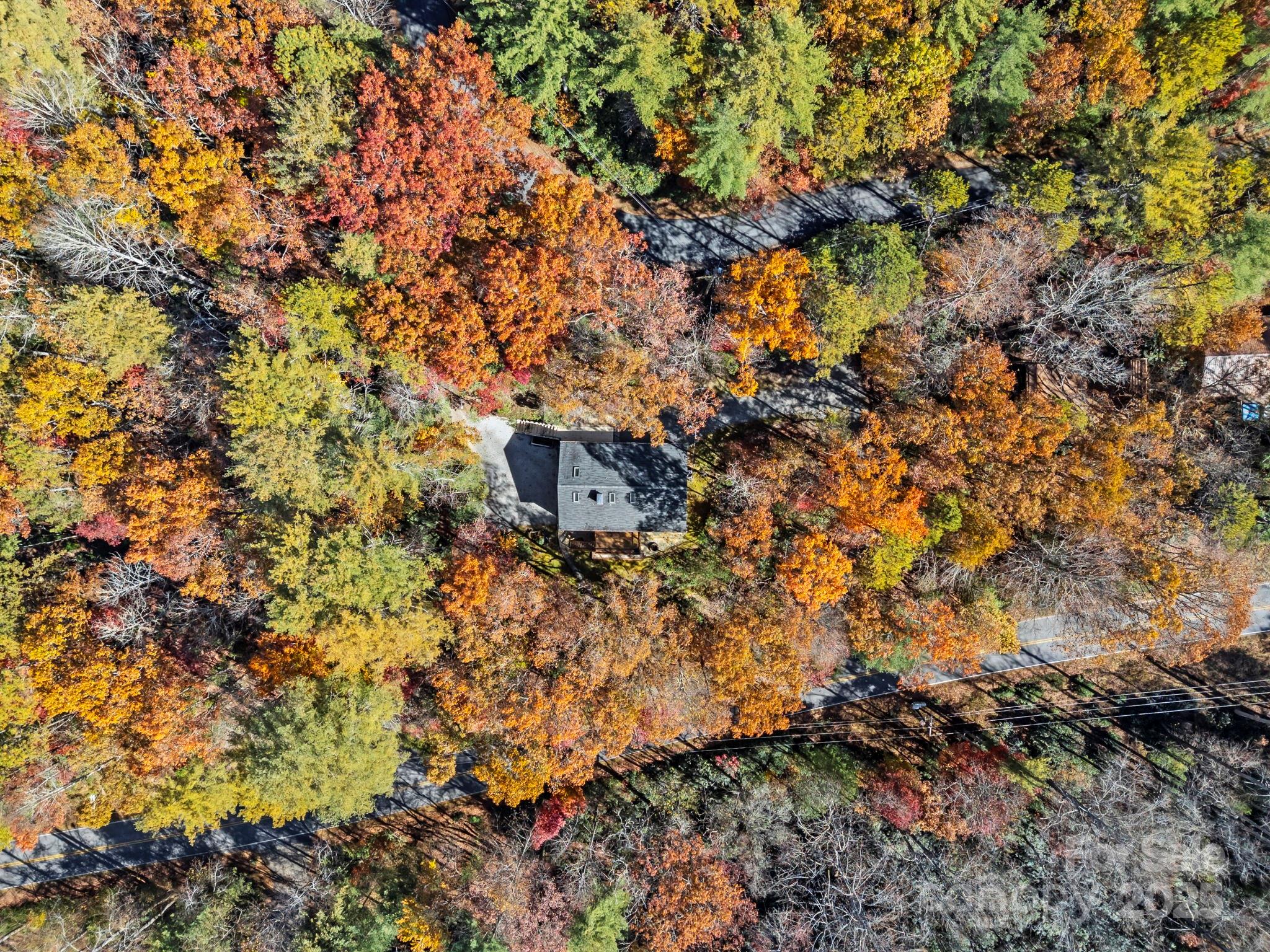 2149 Williamson Creek Road Pisgah Forest, NC 28768 - Photo 36 of 38