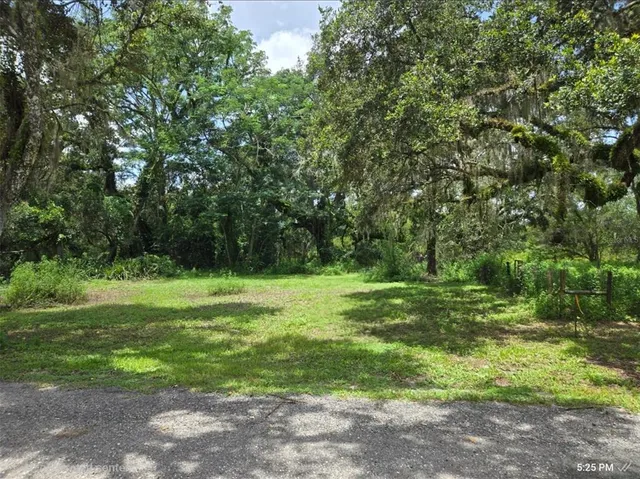 a view of a grassy field with trees