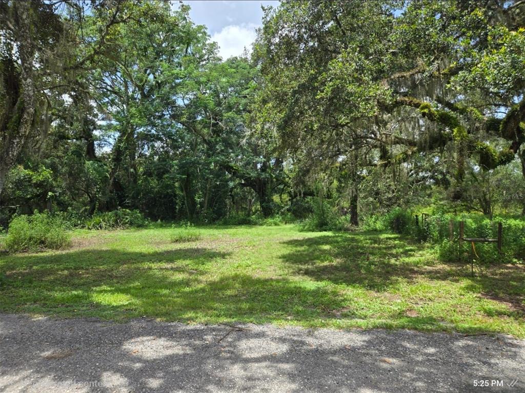 a view of a grassy field with trees