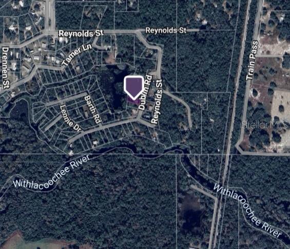 0 Dublin Road Ridge Manor, FL 33523 - Photo 11 of 13 a aerial view of a house with a backyard