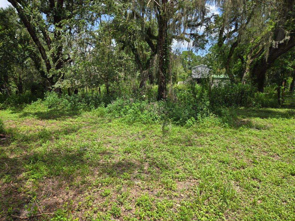 0 Dublin Road Ridge Manor, FL 33523 - Photo 5 of 13 a view of a lush green space