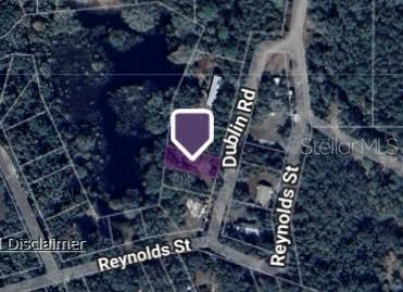 0 Dublin Road Ridge Manor, FL 33523 - Photo 10 of 13 a backyard of a house with lots of green space