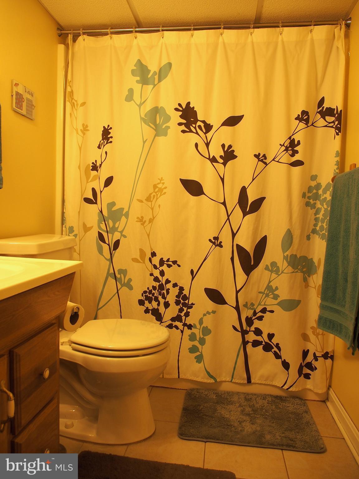 5560 Oakland Road Baltimore, MD 21227 - Photo 25 of 30 Bath