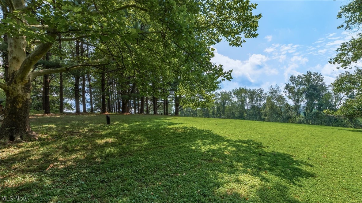 4280 Red Bud Road Dresden, OH 43821 - Photo 38 of 43 Gallery Image 38