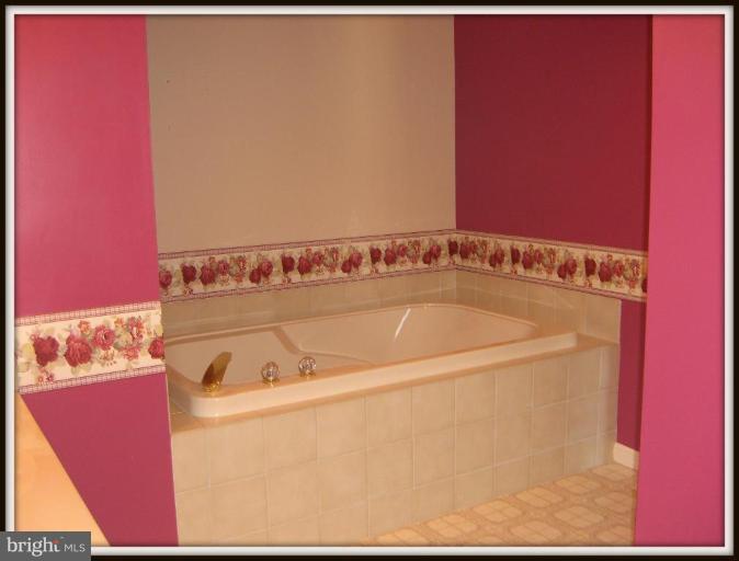 911 Edgewood Road Edgewood, MD 21040 - Photo 19 of 28 Master Bath Soaking Tub