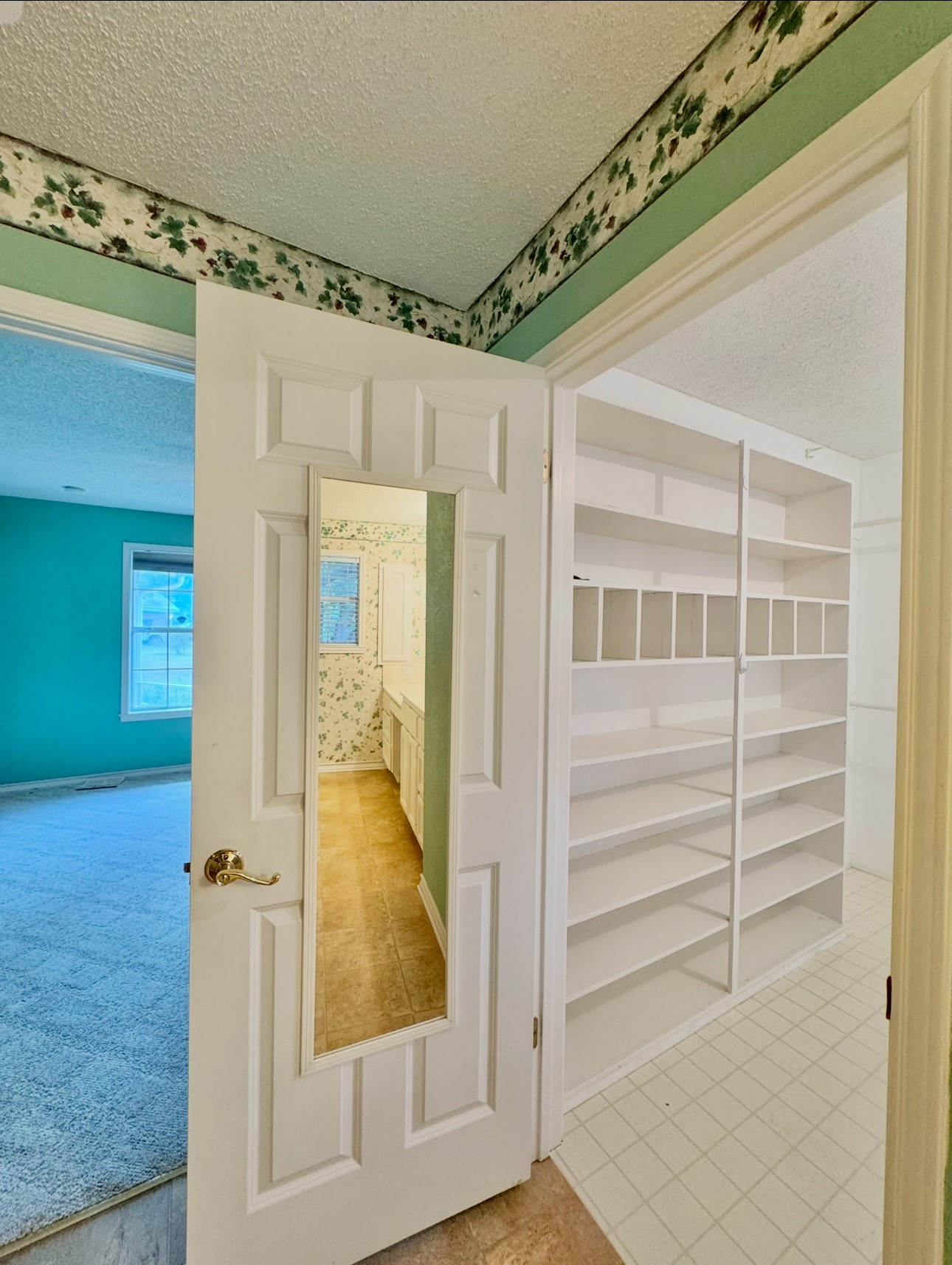 608 Mogonye Lane Elgin, TX 78621 - Photo 28 of 38 a view of walk in closet