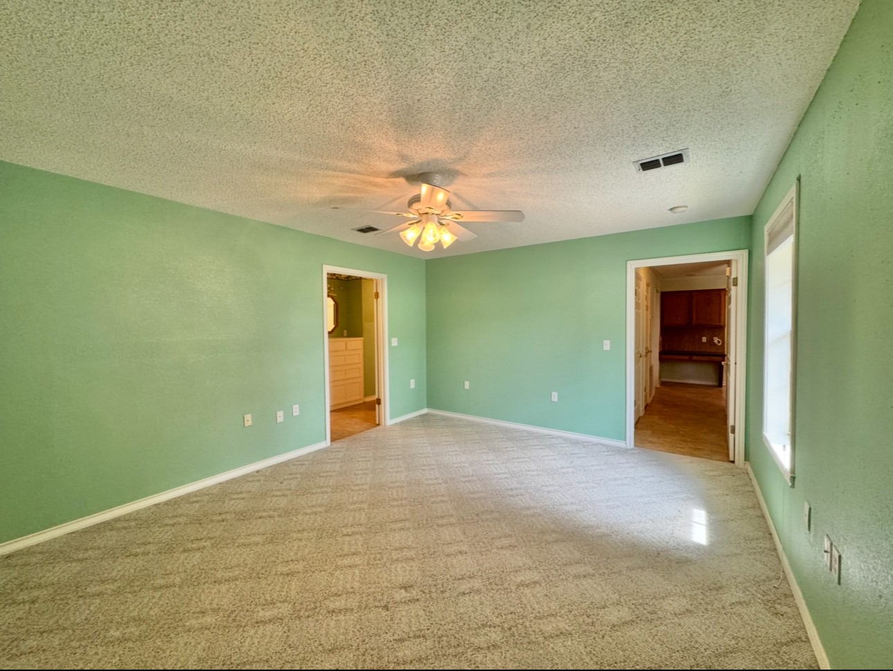 608 Mogonye Lane Elgin, TX 78621 - Photo 30 of 38 a view of a room with a chandelier fan and windows