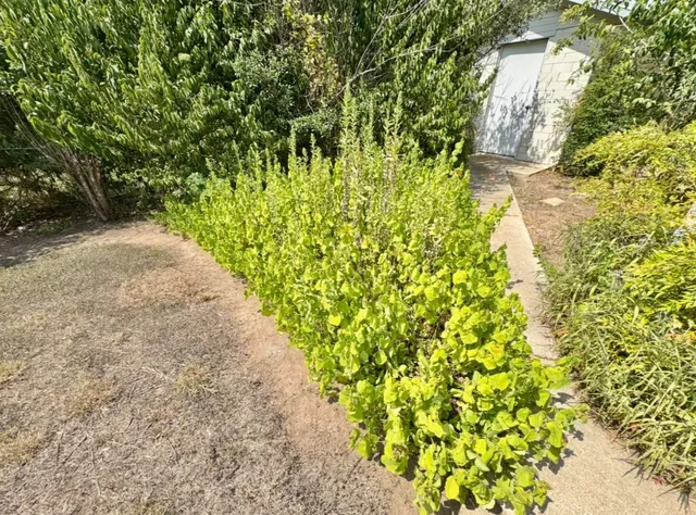 a view of a house with a small yard and potted plants