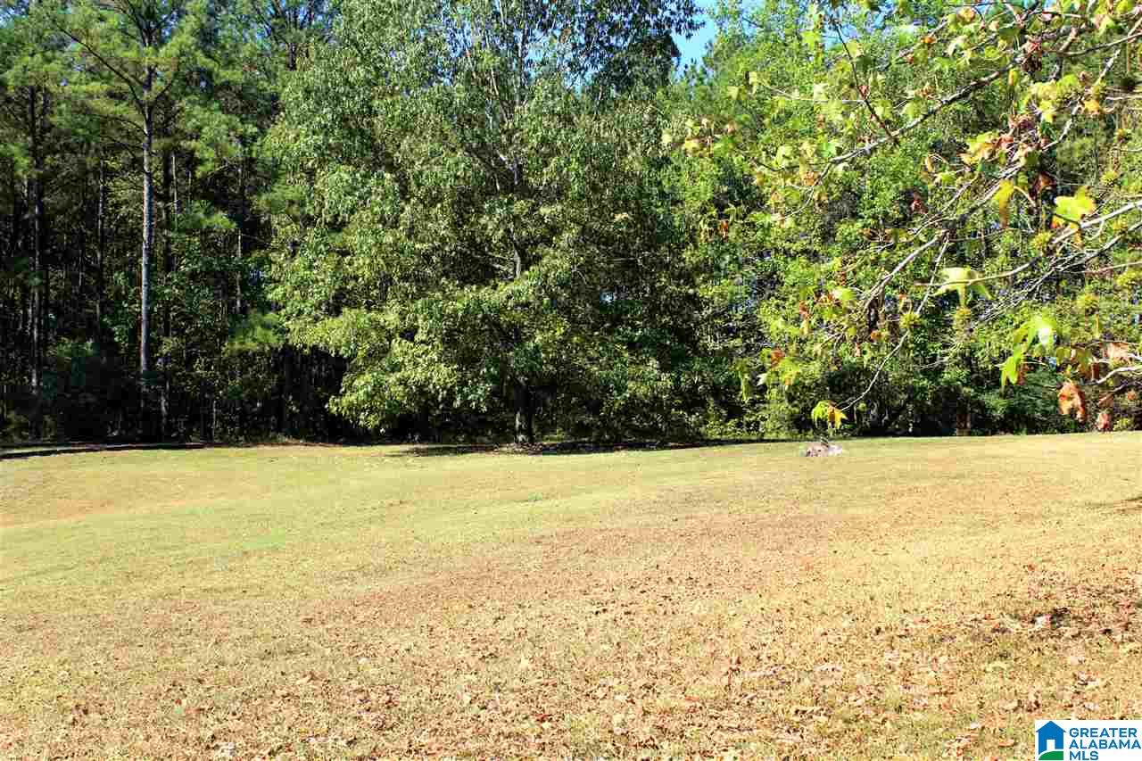 2155 Harts Ferry Road, Unit 1 72 Ohatchee, AL 36271 - Photo 3 of 6