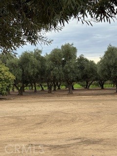 0 Kibby Merced, CA 95340 - Photo 2 of 8 a view of a yard with a tree