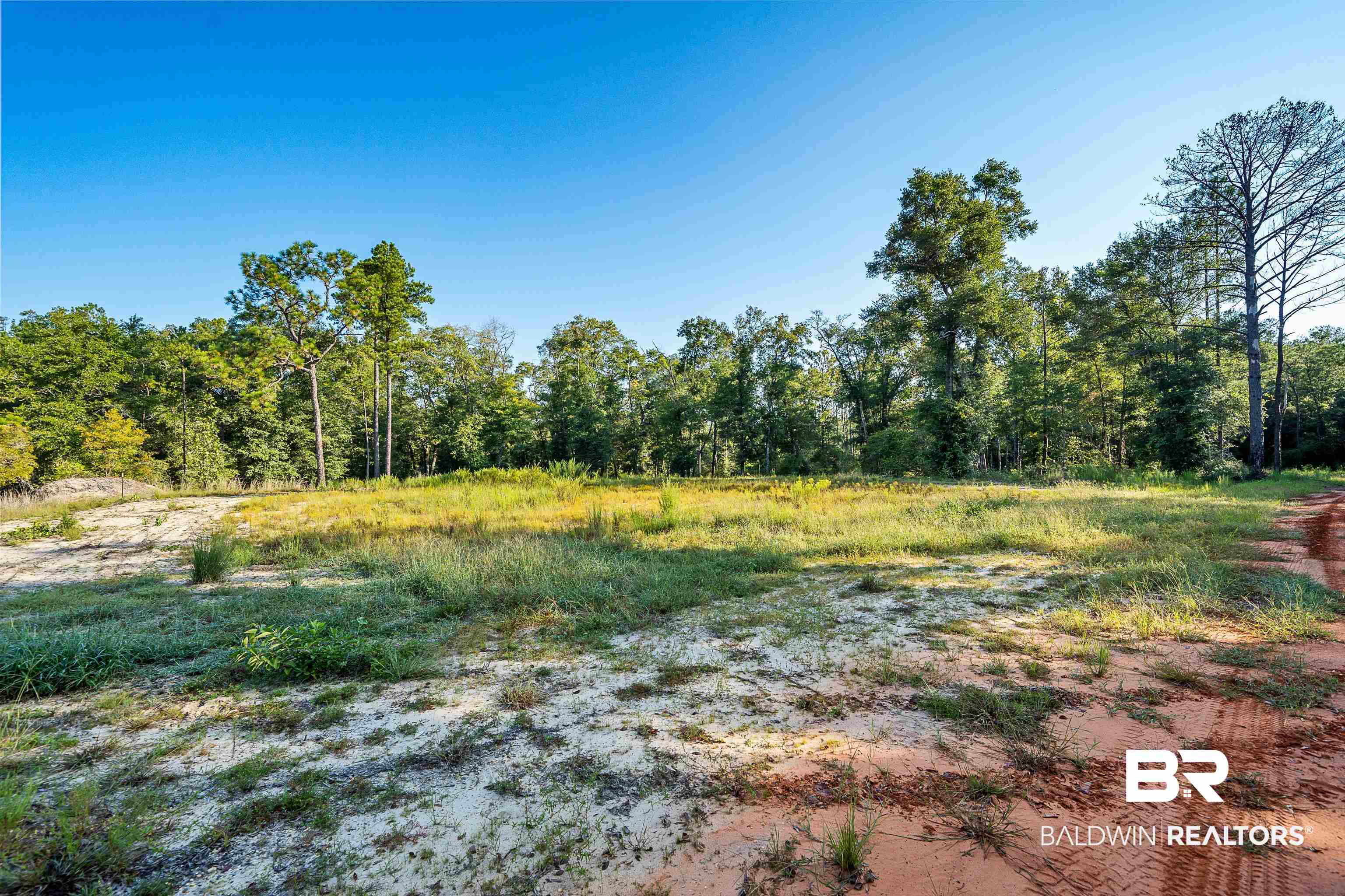 8190 Dixon Road Bay Minette, AL 36507 - Photo 5 of 13