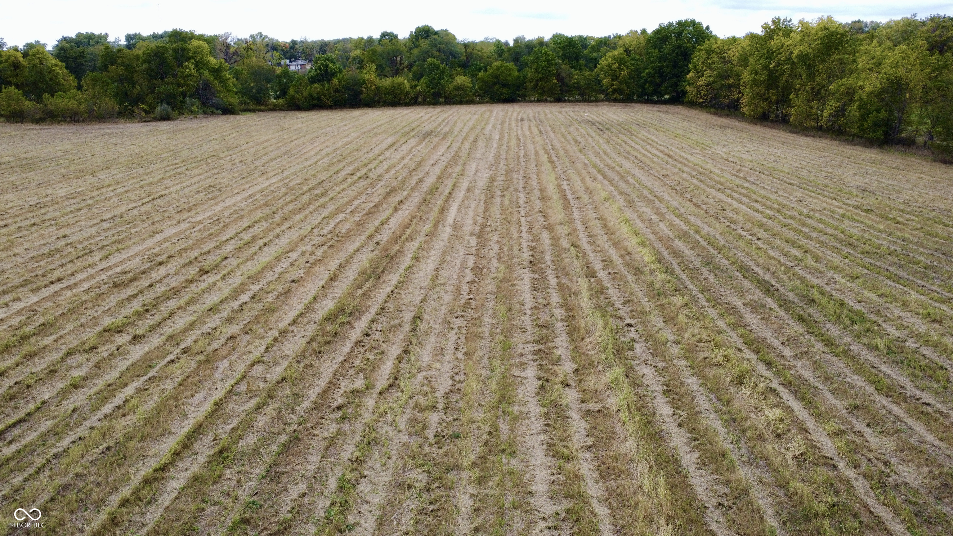 0 1050 County Road South Indianapolis, IN 46202 - Photo 6 of 10