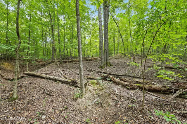 $121,500 | 3617 Betty Lane, Knoxville, TN 37931