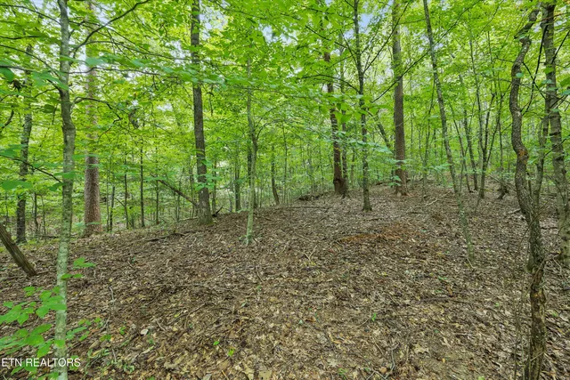 $121,500 | 3617 Betty Lane, Knoxville, TN 37931