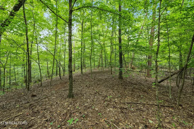 $121,500 | 3617 Betty Lane, Knoxville, TN 37931