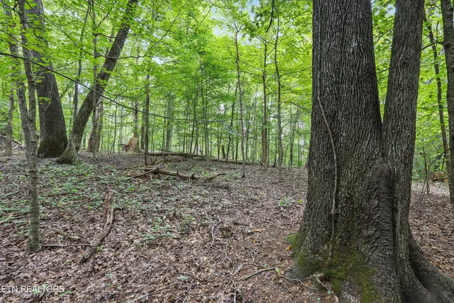 $121,500 | 3617 Betty Lane, Knoxville, TN 37931