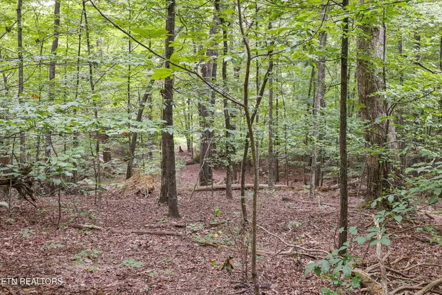 $121,500 | 3617 Betty Lane, Knoxville, TN 37931