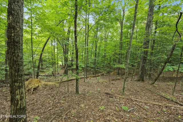 $121,500 | 3617 Betty Lane, Knoxville, TN 37931