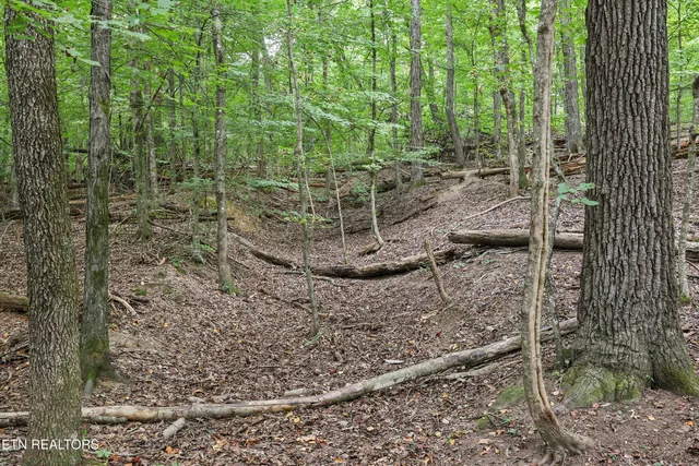 $121,500 | 3617 Betty Lane, Knoxville, TN 37931