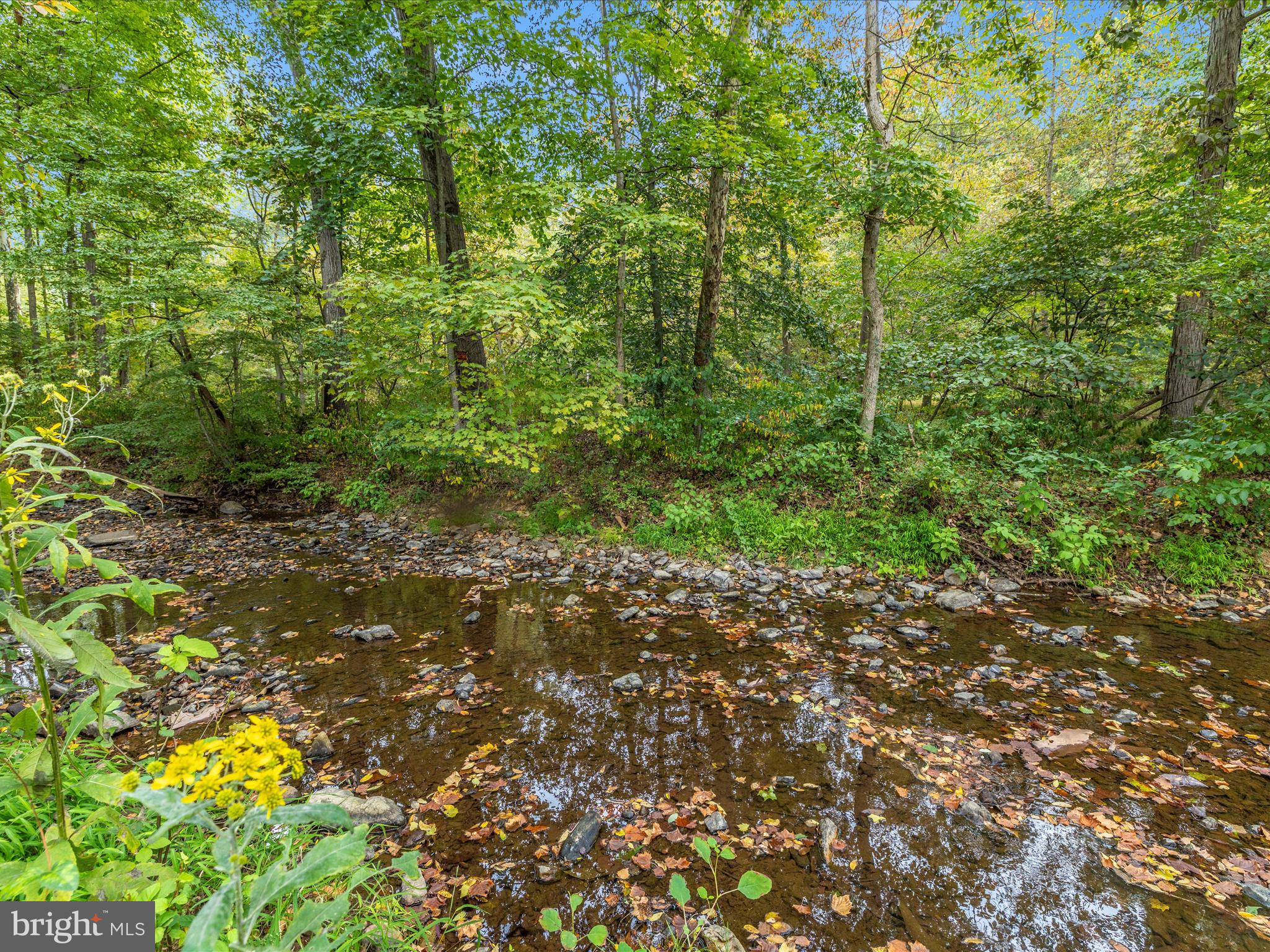 13609 Blairs Valley Road Clear Spring, MD 21722 - Photo 4 of 45 Creek