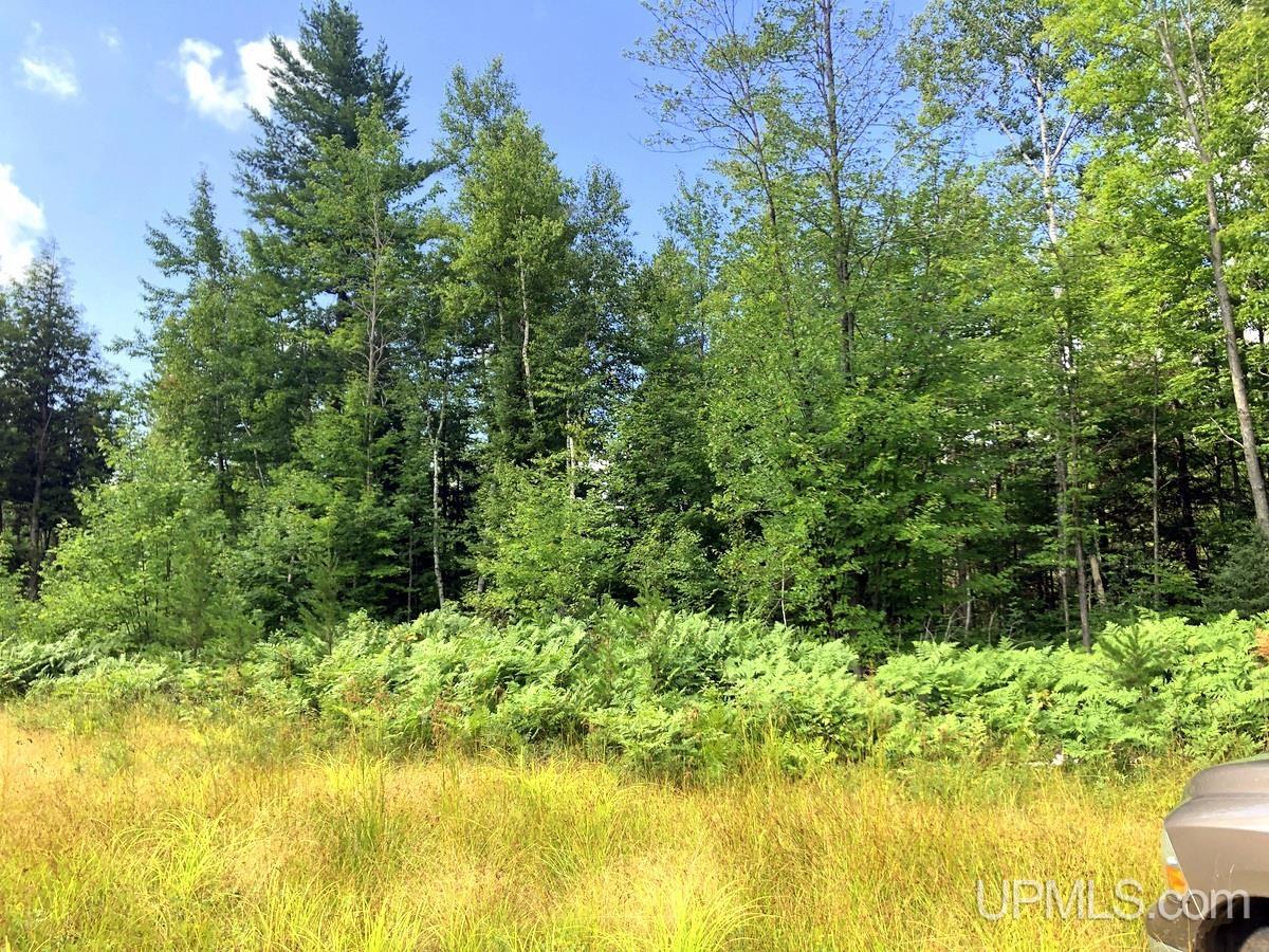 Tbd Tbd Co Road Negaunee, MI 49866 - Photo 7 of 24