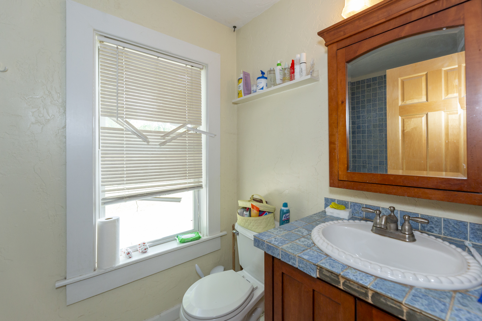 249 West Graham Street Dixon, IL 61021 - Photo 33 of 38