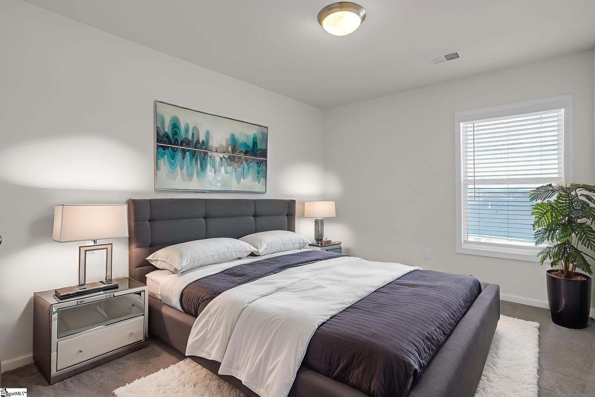 32 Apricot Lane Duncan, SC 29334 - Photo 11 of 37