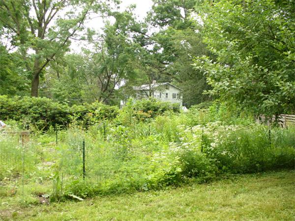 20 Triangle Street Amherst, MA 01002 - Photo 8 of 21