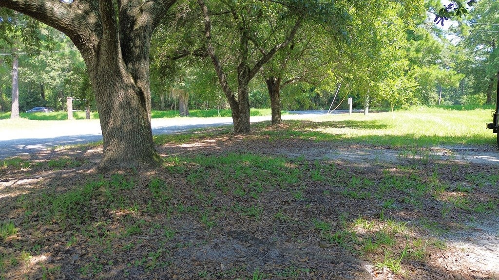 220 Dillon Road Thomasville, GA 31757 - Photo 9 of 56 Live Oaks near property line