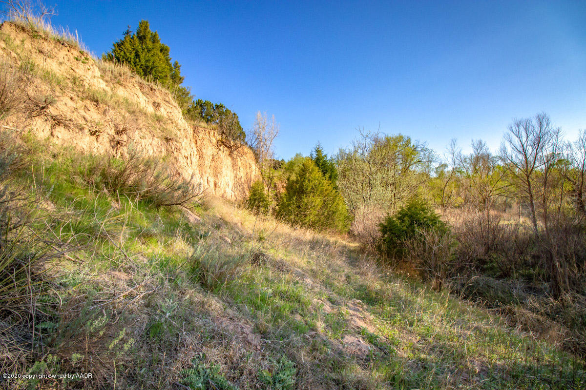 West Mcafee Road Canyon, TX 79118 - Photo 21 of 39 a view of a yard