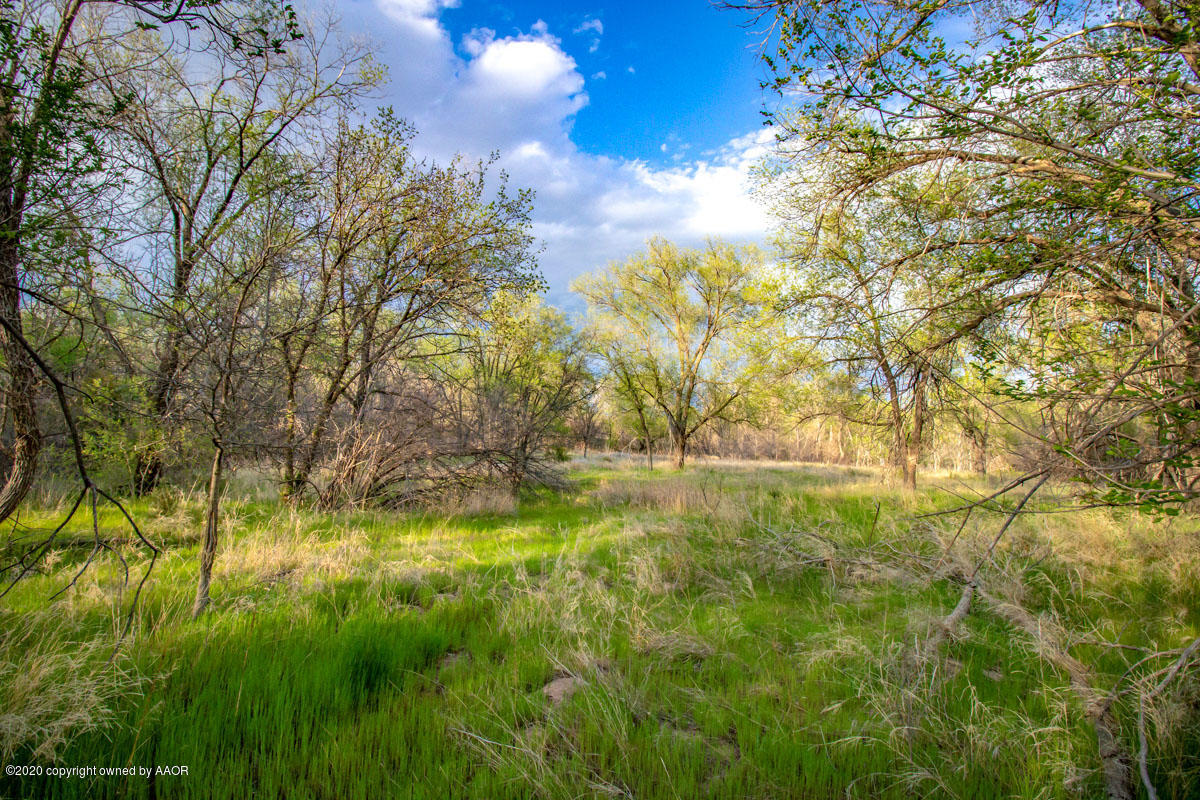 West Mcafee Road Canyon, TX 79118 - Photo 9 of 39 a view of yard with trees
