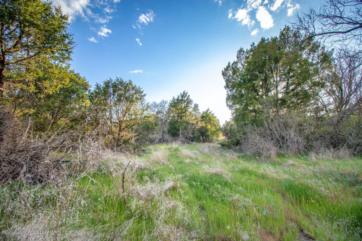 West Mcafee Road Canyon, TX 79118 - Photo 10 of 39 a view of a lush green space