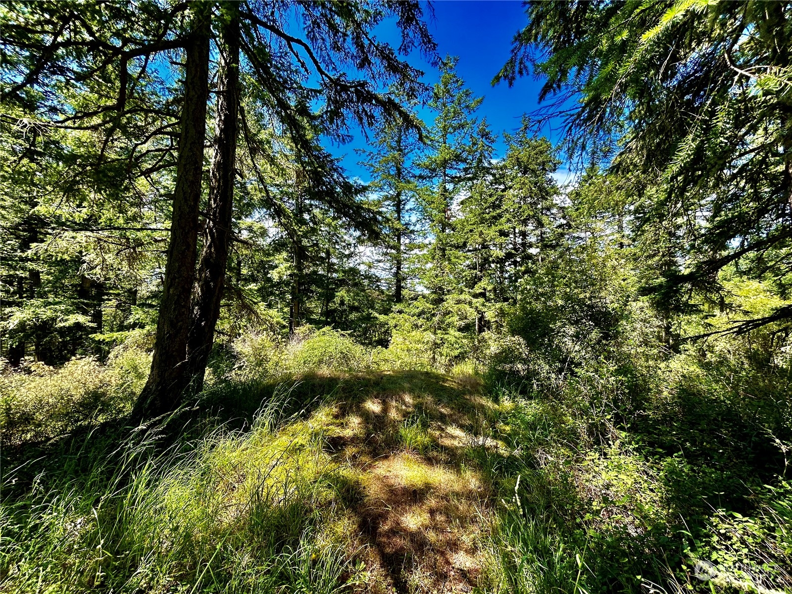 0 Salmonberry Lane Friday Harbor, WA 98250 - Photo 2 of 12