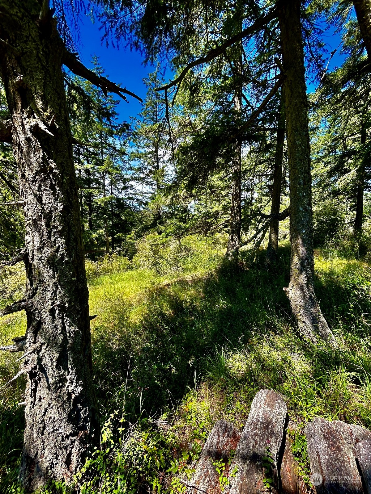 0 Salmonberry Lane Friday Harbor, WA 98250 - Photo 5 of 12