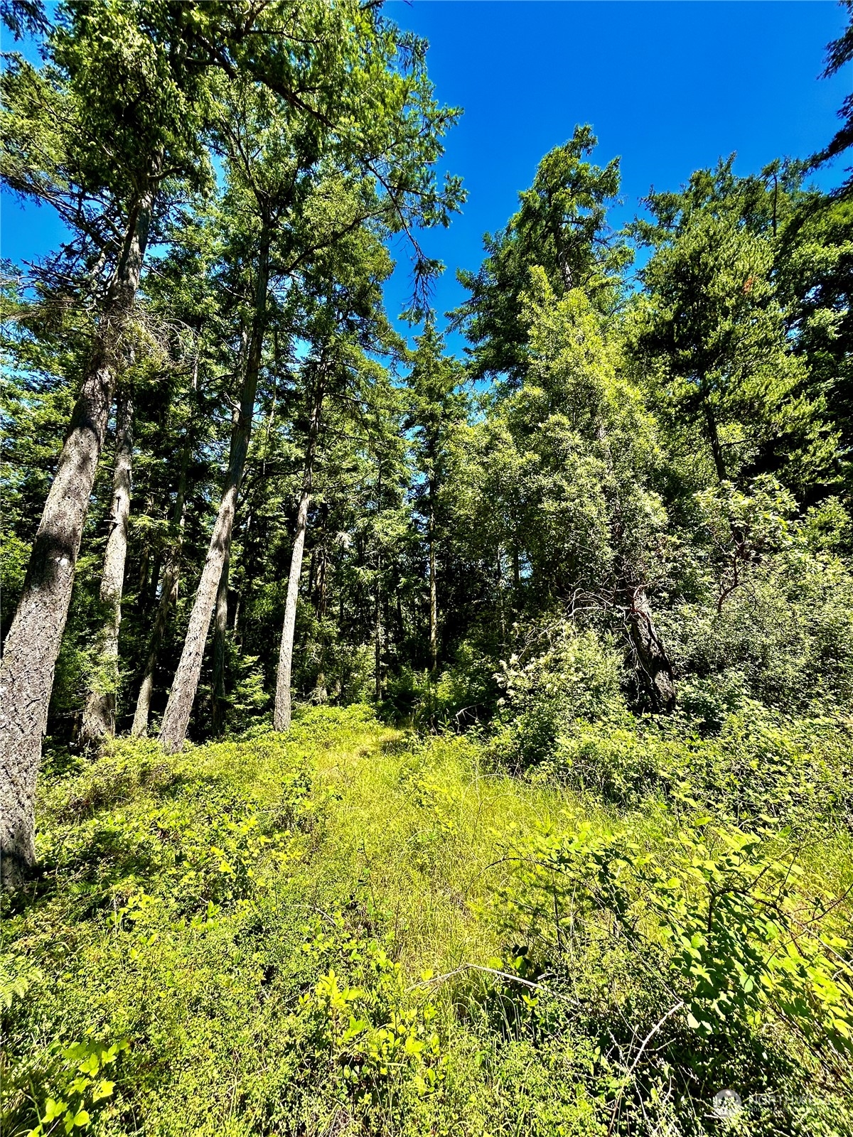 0 Salmonberry Lane Friday Harbor, WA 98250 - Photo 7 of 12