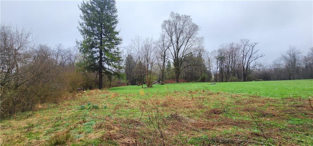 Lot 57 Rt 40 Farmington, PA 15437 - Photo 12 of 12 a view of a yard with a tree