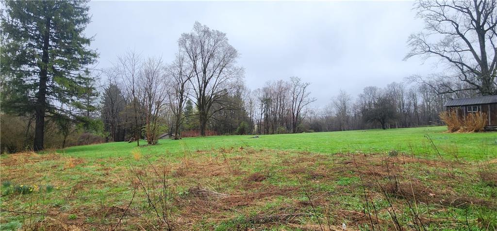 Lot 57 Rt 40 Farmington, PA 15437 - Photo 6 of 12 a view of a backyard with large trees