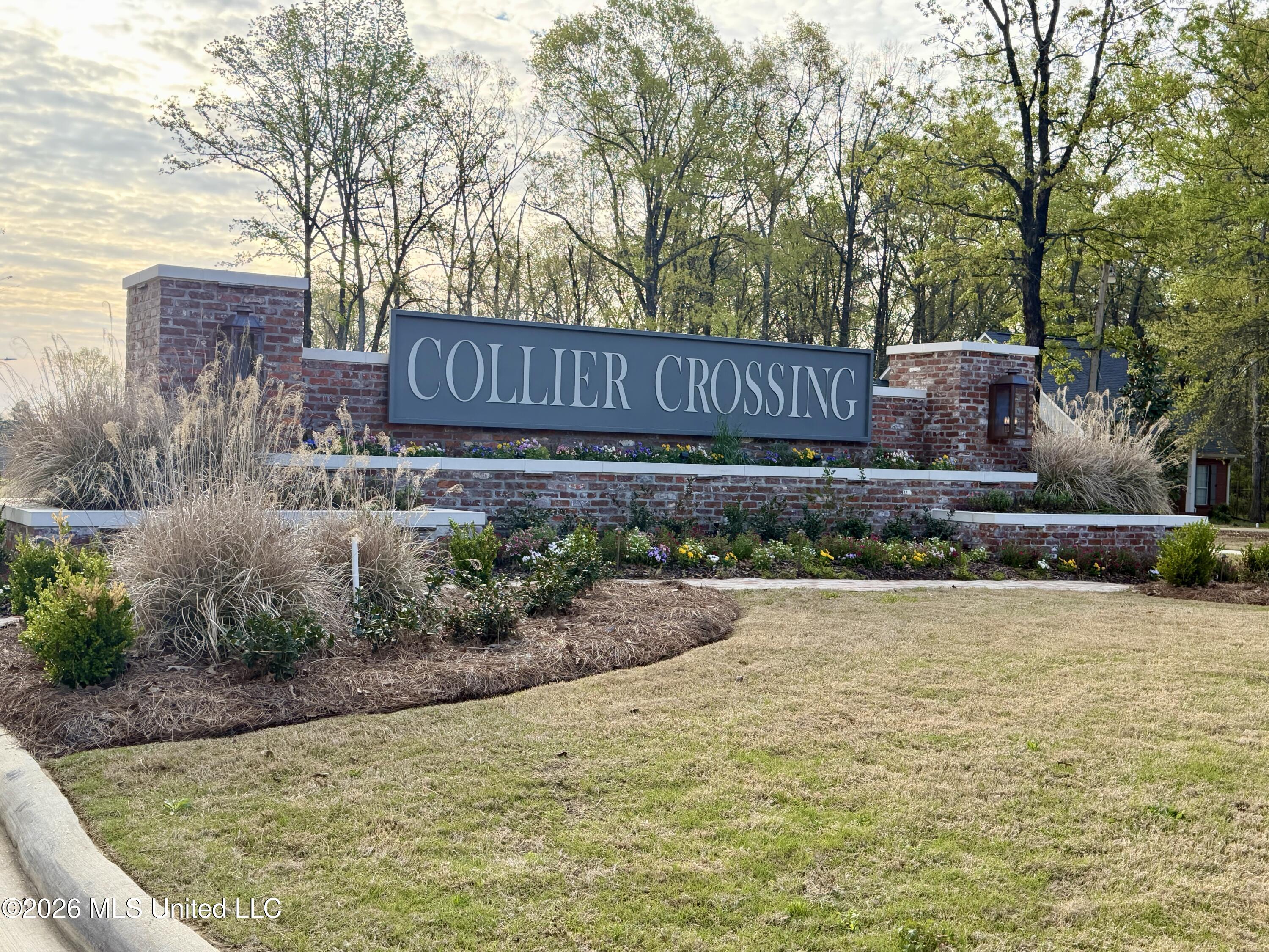 705 Celadon Way Brandon, MS 39042 - Photo 2 of 2 IMG_3135