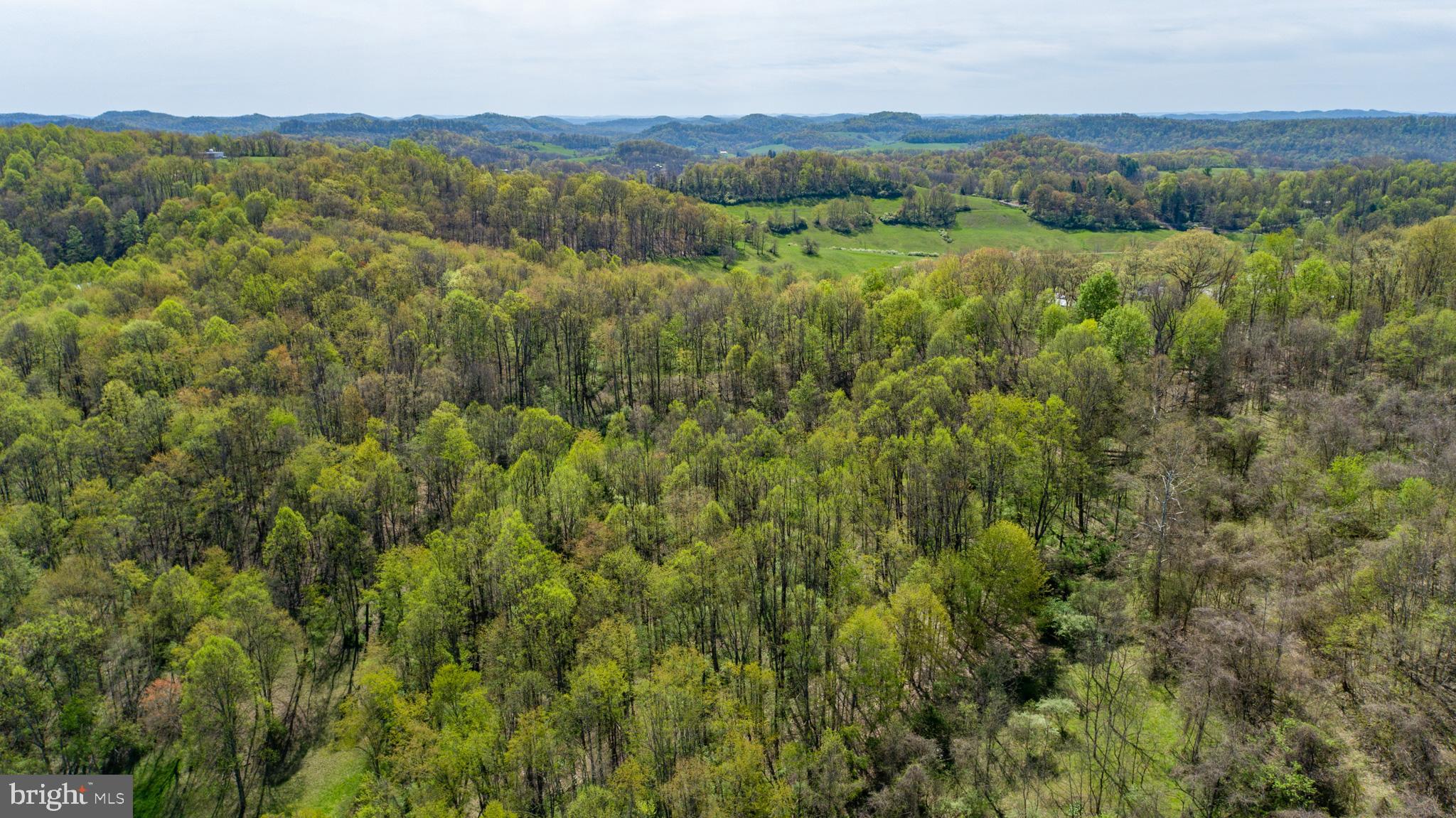Tbd Benedum Run Road Bridgeport, WV 26330 - Photo 13 of 42
