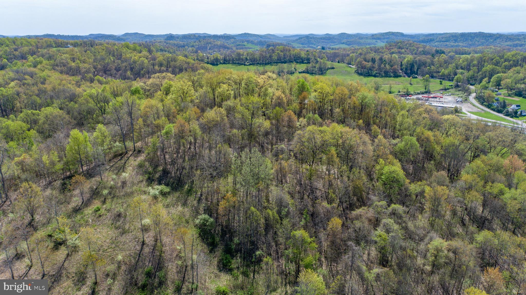 Tbd Benedum Run Road Bridgeport, WV 26330 - Photo 22 of 42